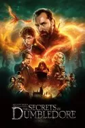 Fantastik Canavarlar: Dumbledore'un Sırları izle
