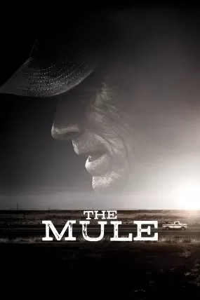 Kaçakçı izle