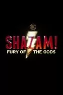 Shazam! Fury of the Gods izle