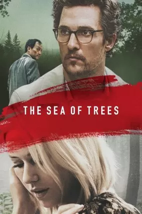 Sonsuzluk Ormanı izle
