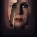 Gece Hayvanları izle