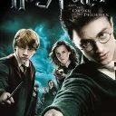 Harry Potter ve Zümrüdüanka Yoldaşlığı izle